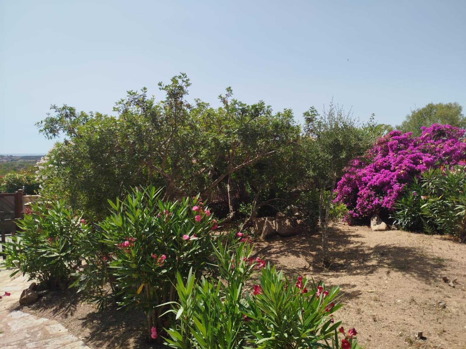 Villa Vista Mare Cala Ginepro Punta Molara Kültér fotó