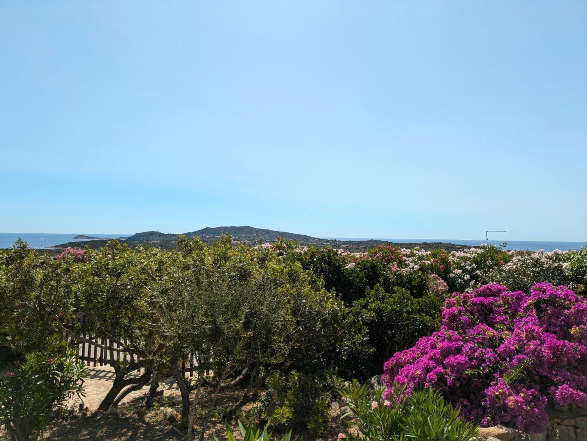 Villa Vista Mare Cala Ginepro Punta Molara Kültér fotó
